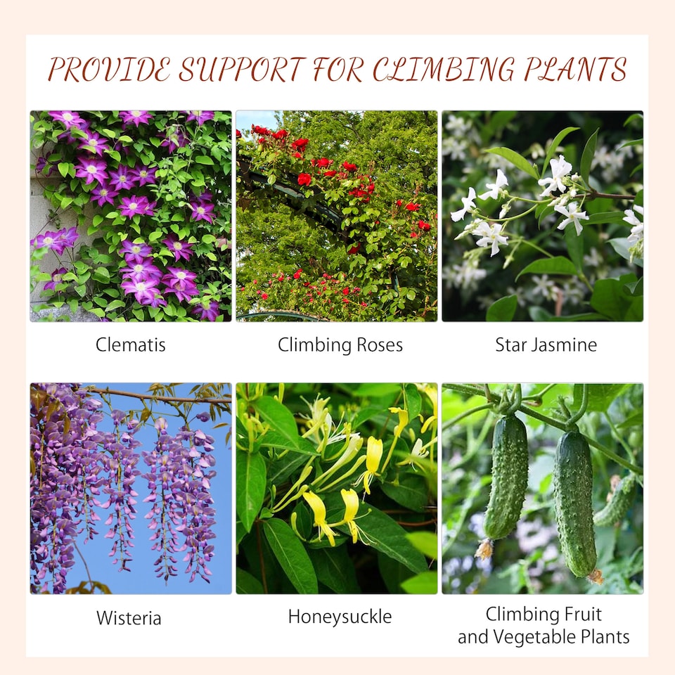 image 1 of Outsunny Set of 2 Metal Trellis for Climbing Plants, Scrolls Design, 45 x 150cm