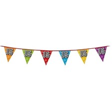Age 15 Holographic Foil Pennant Bunting 8m