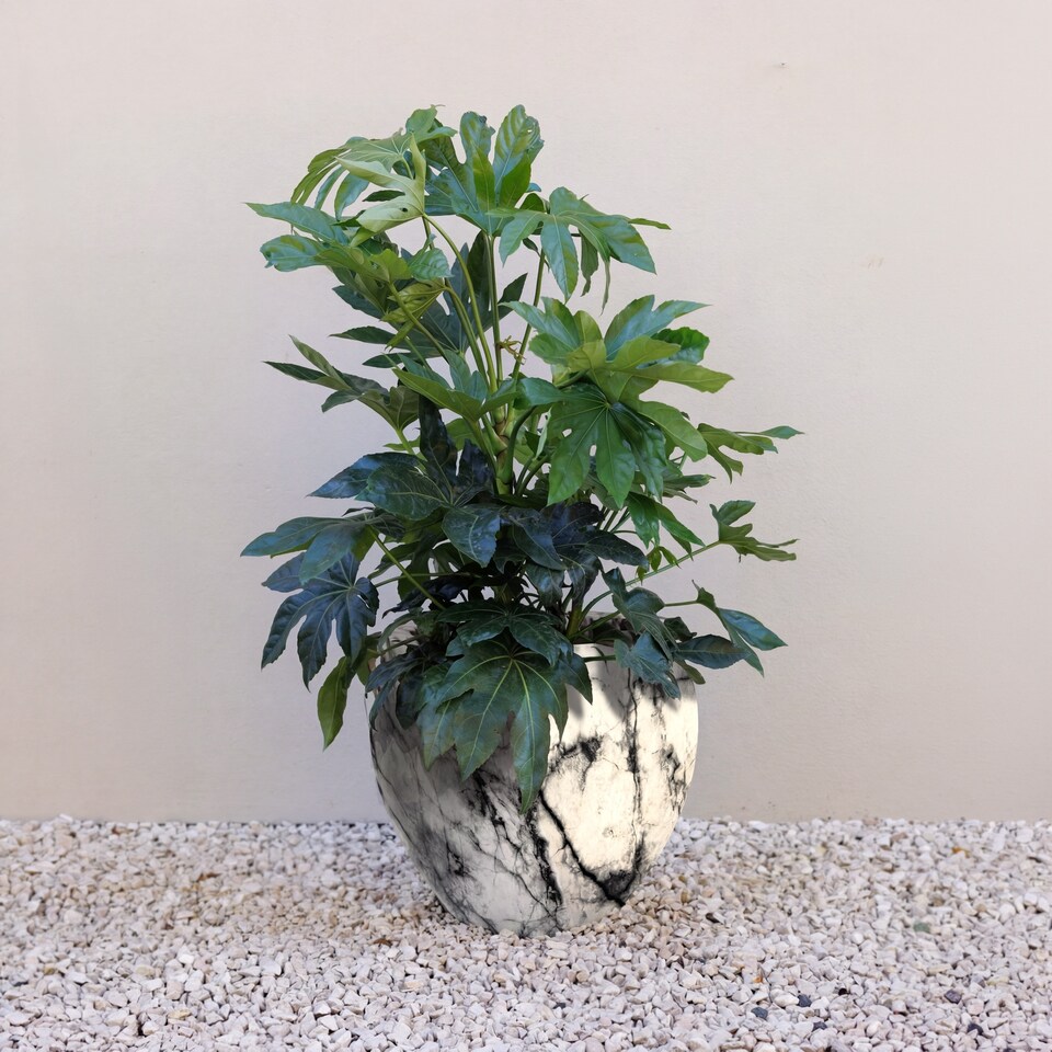 image 1 of Primrose Martino Marble Effect Concrete Planter in Grey 26cm | Grey | Grey