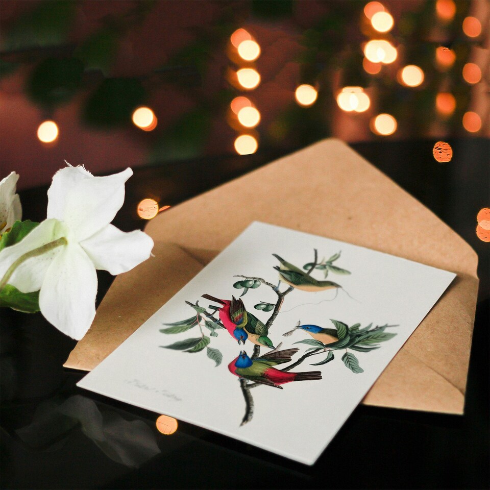 image 1 of John James Audubon Art Card Painted Finch on Olive Branch