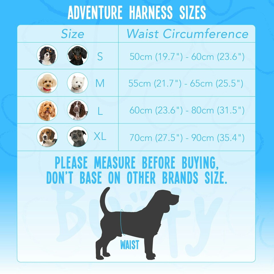 image 1 of Bunty Adventure Harness Red | S