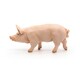 image 5 of PAPO Farmyard Friends Boar Toy Figure