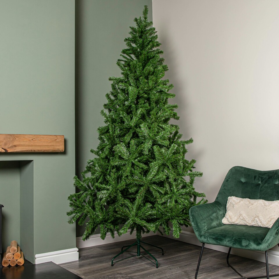 image 1 of 8ft Colorado Spruce Christmas Tree in Green with 1095 tips