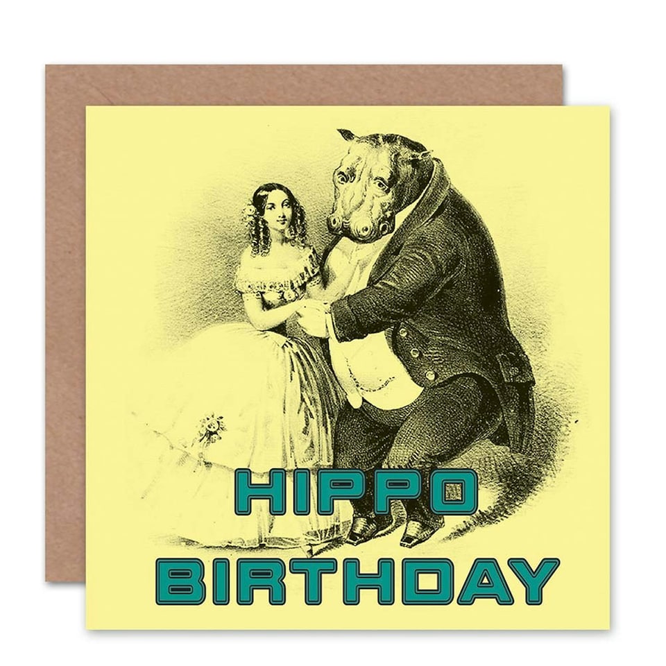 image 1 of Hippo and Woman Couple Humour Fun Weird Vintage Birthday Card