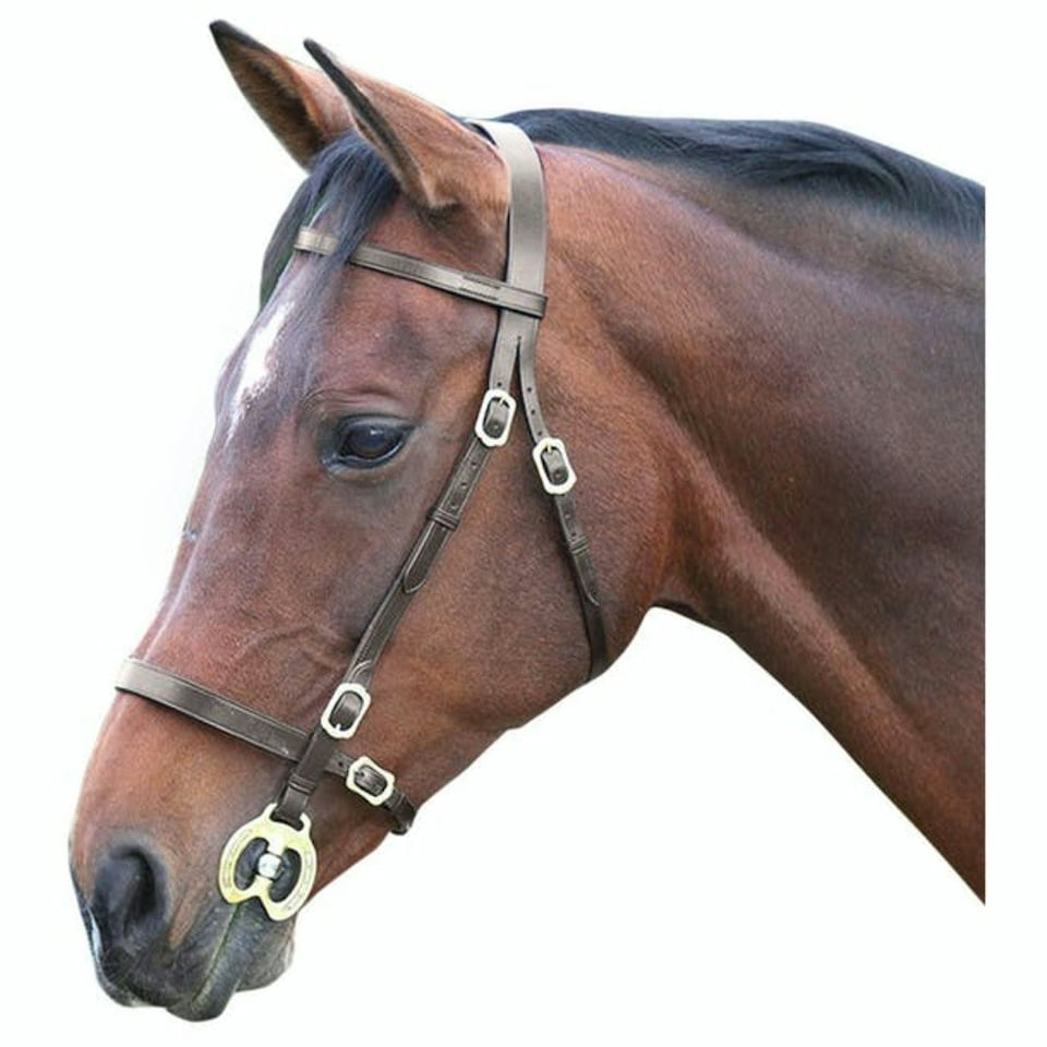 Blenheim Leather Plain Horse Inhand Bridle - Havana - Pony