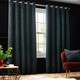 image 1 of Paoletti Galaxy Chenille Emerald Eyelet Curtains (W)117cm x (D)183cm Multi