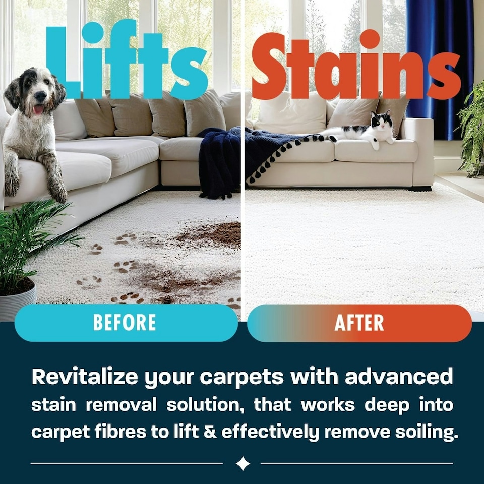 image 1 of Dirtbusters Spot Cleaning Pro Solution (5L) Carpet Cleaning Shampoo for Spot Cleaning Machines