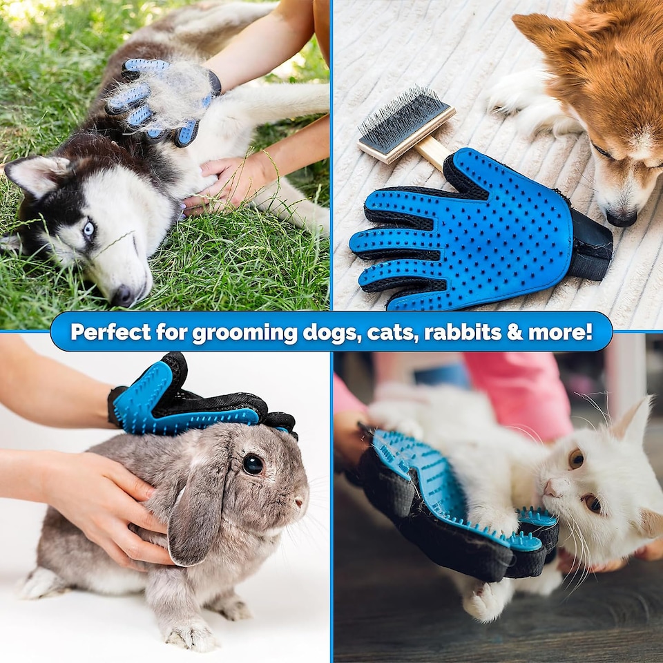 image 1 of Pretty Pooch Dog Crate Medium Cage Puppy Cat Pet Training Tray and Bed With Two Gloves