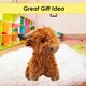 image 8 of Highlands Cow Soft Toy Cute Plushie Huggable Cuddly Stuffed Toy Gift 23cm Brown