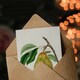 image 3 of Jacob Sturm Art Card Vintage Illustration of a Pear