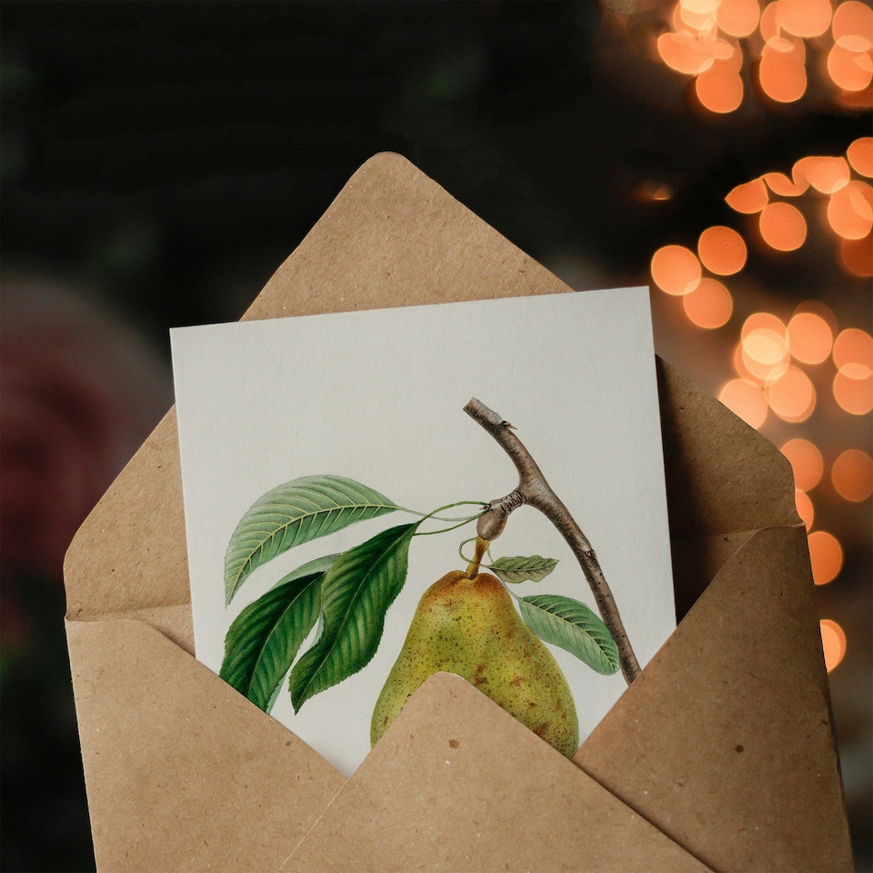 image 1 of Jacob Sturm Art Card Vintage Illustration of a Pear