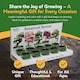 image 6 of Pronto Seed Grow Your Own Bonsai Tree Kit - 5 Bonsai Seed Varieties - Gardening Gifts for Men and Women