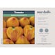 image 4 of Marshalls Garden Tomato Seeds 'Gourmansun' F1 (6 Seeds) | Green | Green, Yellow, Orange