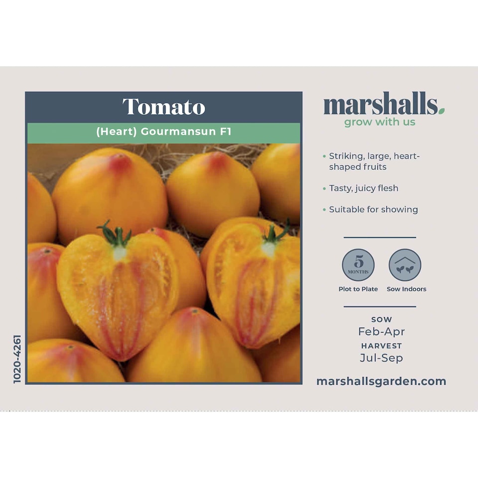 image 1 of Marshalls Garden Tomato Seeds 'Gourmansun' F1 (6 Seeds) | Green | Green, Yellow, Orange