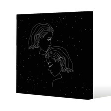 Gemini zodiac sign (canvas) 46 x 46 x 4cm