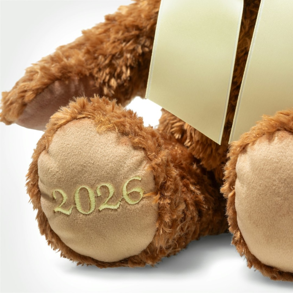 image 1 of Steiff 2026 Bear