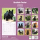 image 2 of Scottish Terrier 2026 Calendar | Square Wall Calendar | Dog Breed Gift | Plastic Free Packaging | by Avonside Publishing