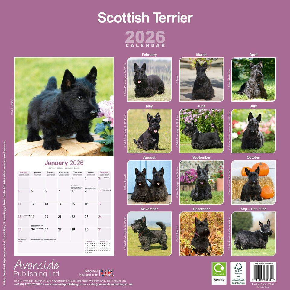 image 1 of Scottish Terrier 2026 Calendar | Square Wall Calendar | Dog Breed Gift | Plastic Free Packaging | by Avonside Publishing