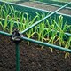image 2 of GardenSkill Essentials Fruit & Vegetable Cage with Insect Mesh 1.5x0.75x0.65m High - Quick Build Plant Protection Frame for Garden, Raised Bed