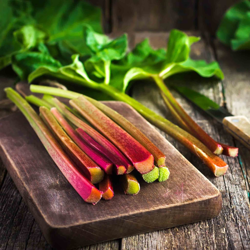 image 1 of Marshalls Garden Rhubarb Collection - 3 Crowns | Green | Green, Red