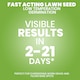 image 3 of Westland Gro-Sure Fast Acting Lawn Seed 30 Square Meter with 20 Percent Extra Free Quick Germination Grass Seed for New Lawns and Patch Repair