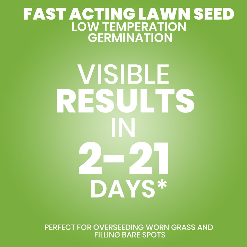 image 1 of Westland Gro-Sure Fast Acting Lawn Seed 30 Square Meter with 20 Percent Extra Free Quick Germination Grass Seed for New Lawns and Patch Repair