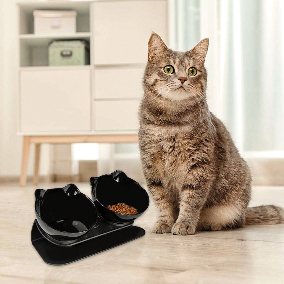 image 1 of Living and Home 15° Tilted Elevated Feeder with Double Cat Bowls | Black