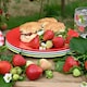 image 4 of Summerhouse by Navigate Strawberries & Cream Set of 4 Plates