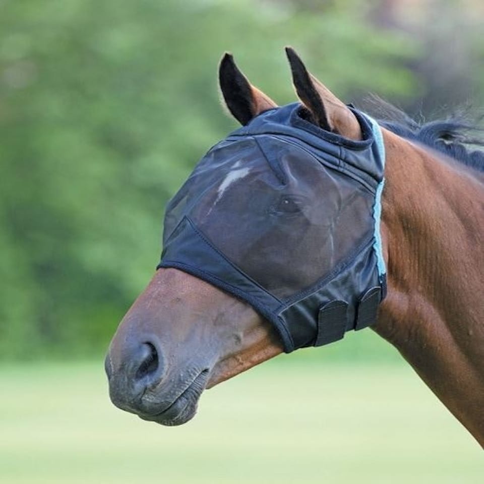 image 1 of Shires Fine Mesh Fly Mask With Ear Hole Blue | Spony
