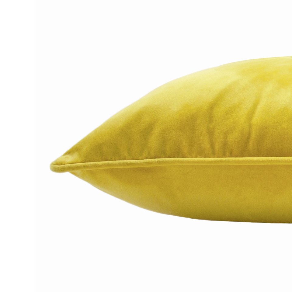 image 1 of Paoletti Hortus Embroidered Bee Cushion, Ceylon, 50 x 50cm