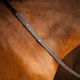 image 8 of LeMieux Soft Rubber Reins with Stoppers Black | Cob