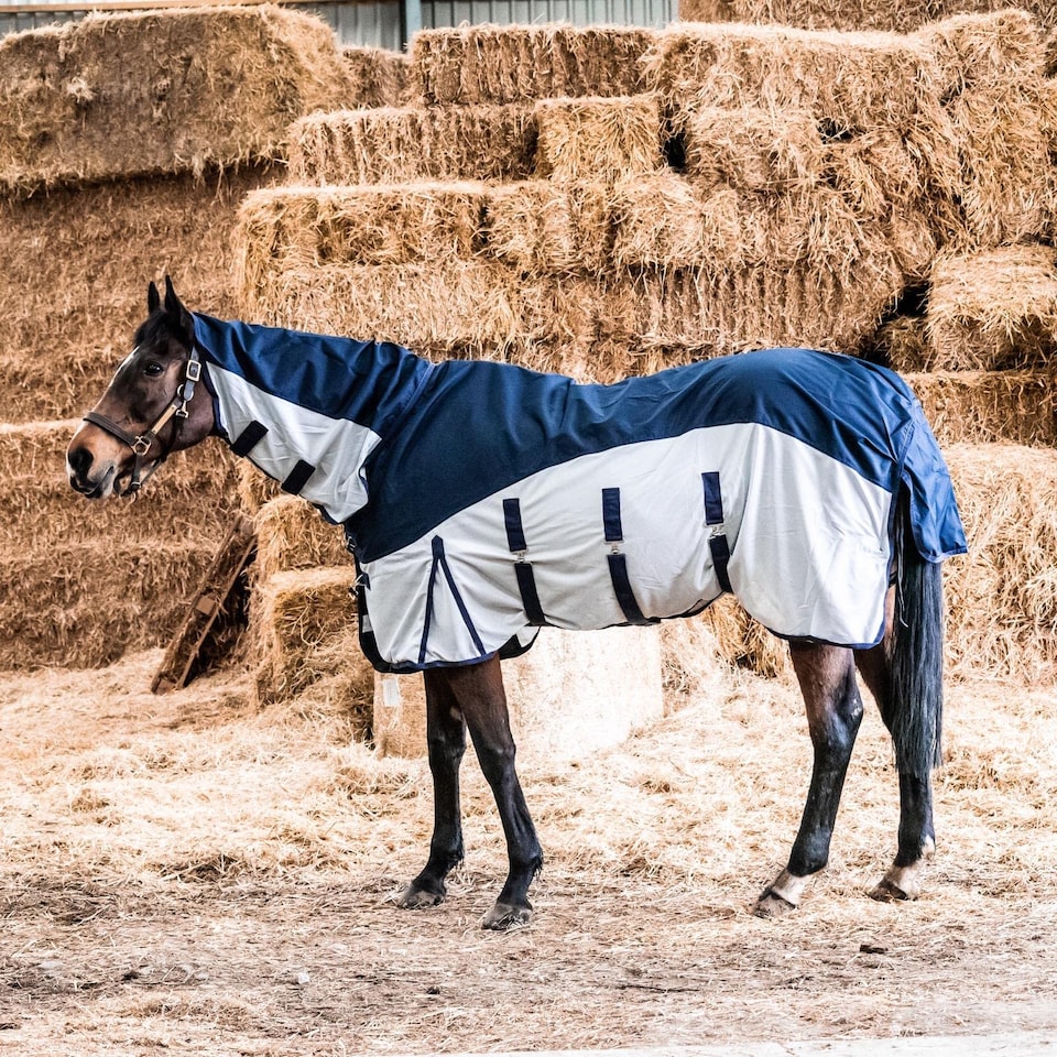image 1 of eQuitack 600D 2 in 1 Waterproof Fly Turnout Mesh Horse Rug Fixed Neck Navy/Silver 6'6''