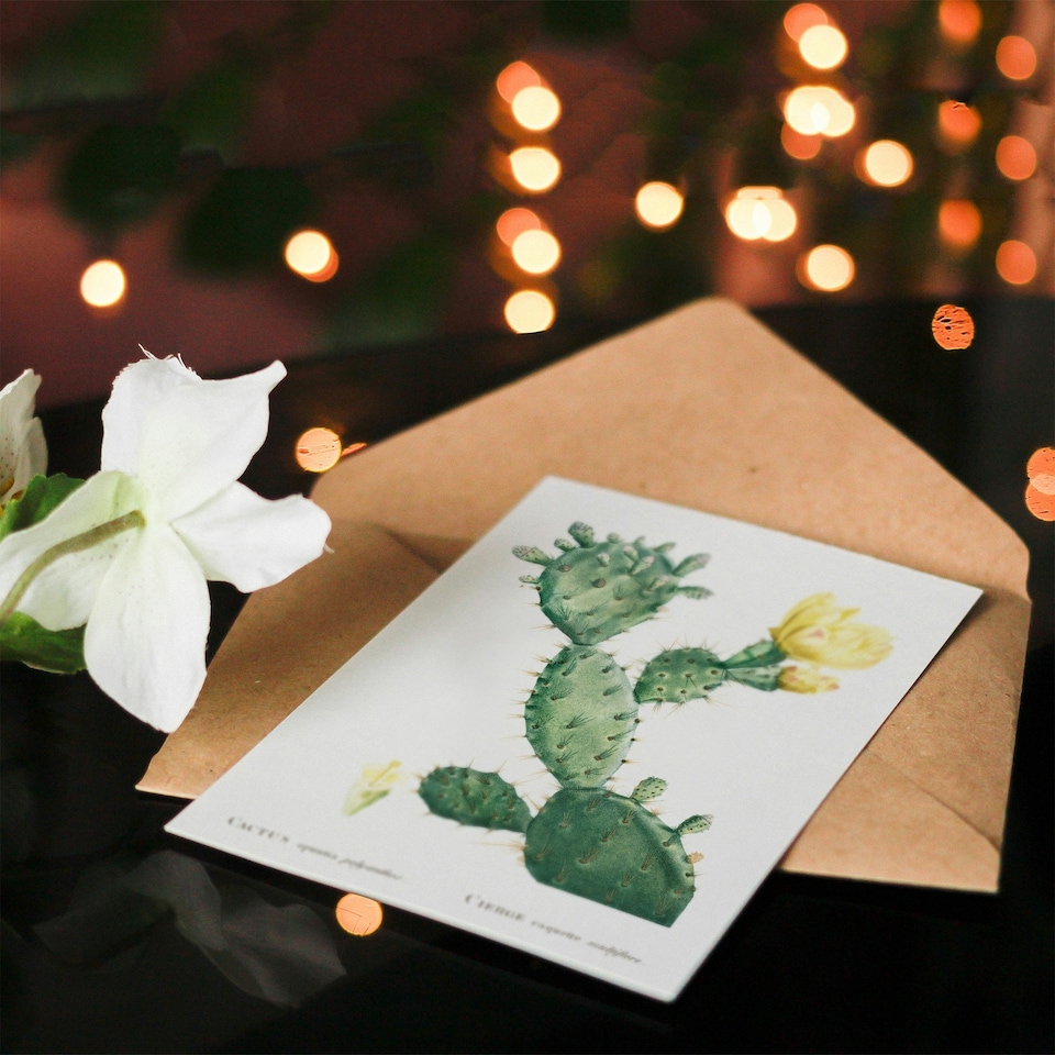 image 1 of Pierre-Joseph Redouté Art Card Opuntia Polyanthos Cactus