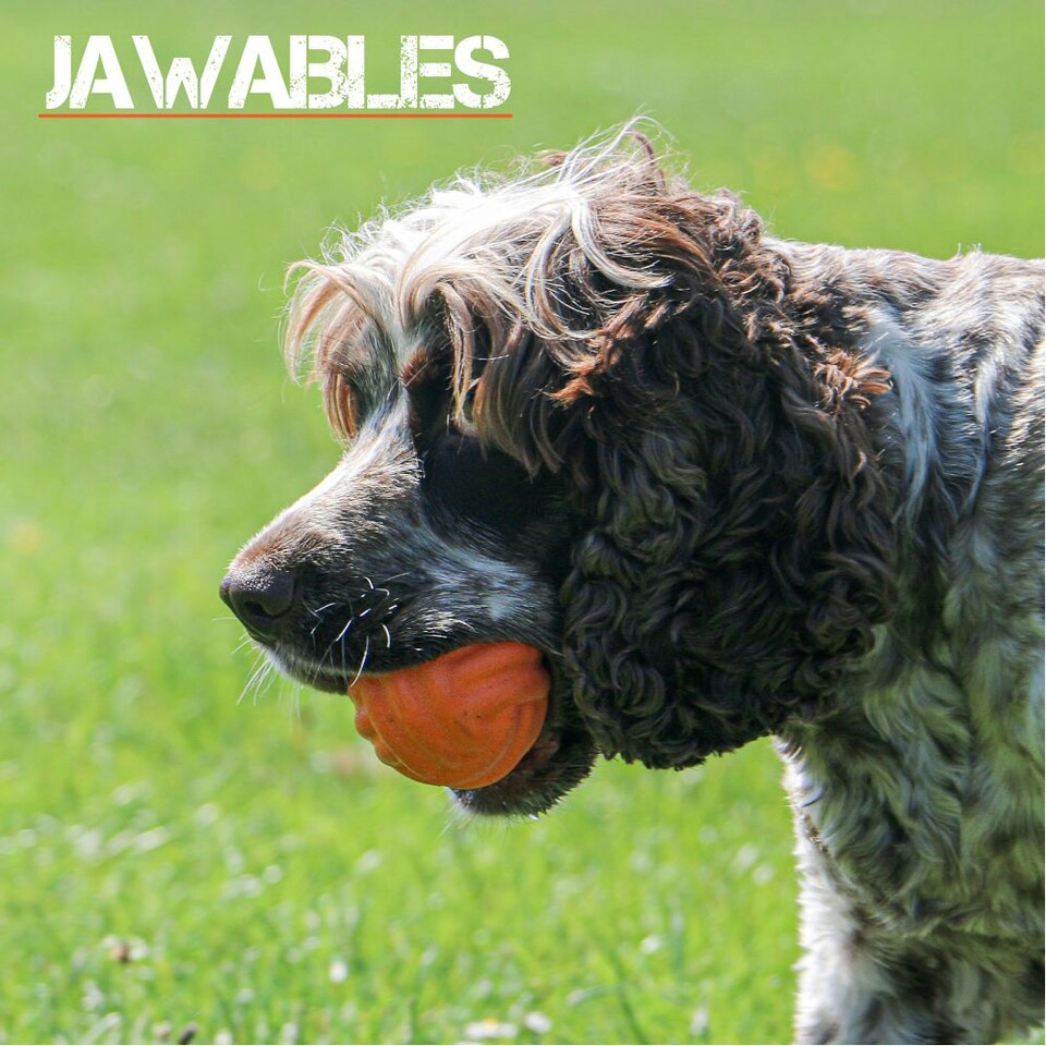 image 1 of Jawables Extreme Tough Dog Toys Ribbed Ball