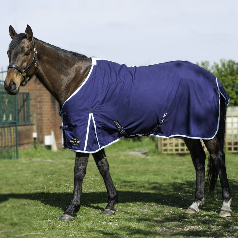image 1 of Gallop Equestrian Summer Sheet Orange | Size: 5ft 9
Colour: Burgundy