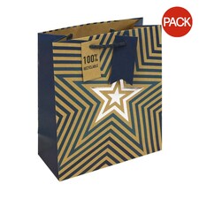 Eurowrap Stars Kraft Gift Bag (Pack of 6) - Brown/White/Blue - M