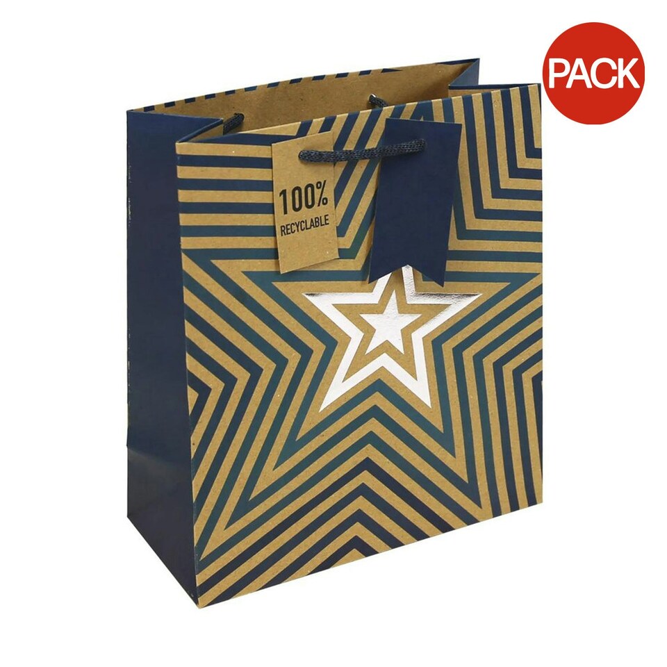 Eurowrap Stars Kraft Gift Bag (Pack of 6) - Brown/White/Blue - M