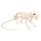 image 1 of Rat Skeleton Halloween Plastic Prop Decoration 46cm