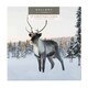 image 9 of Hallmark 25499887 Gallery Christmas Card Pack"Snowy Scenes" - 10 Cards, 2 Designs