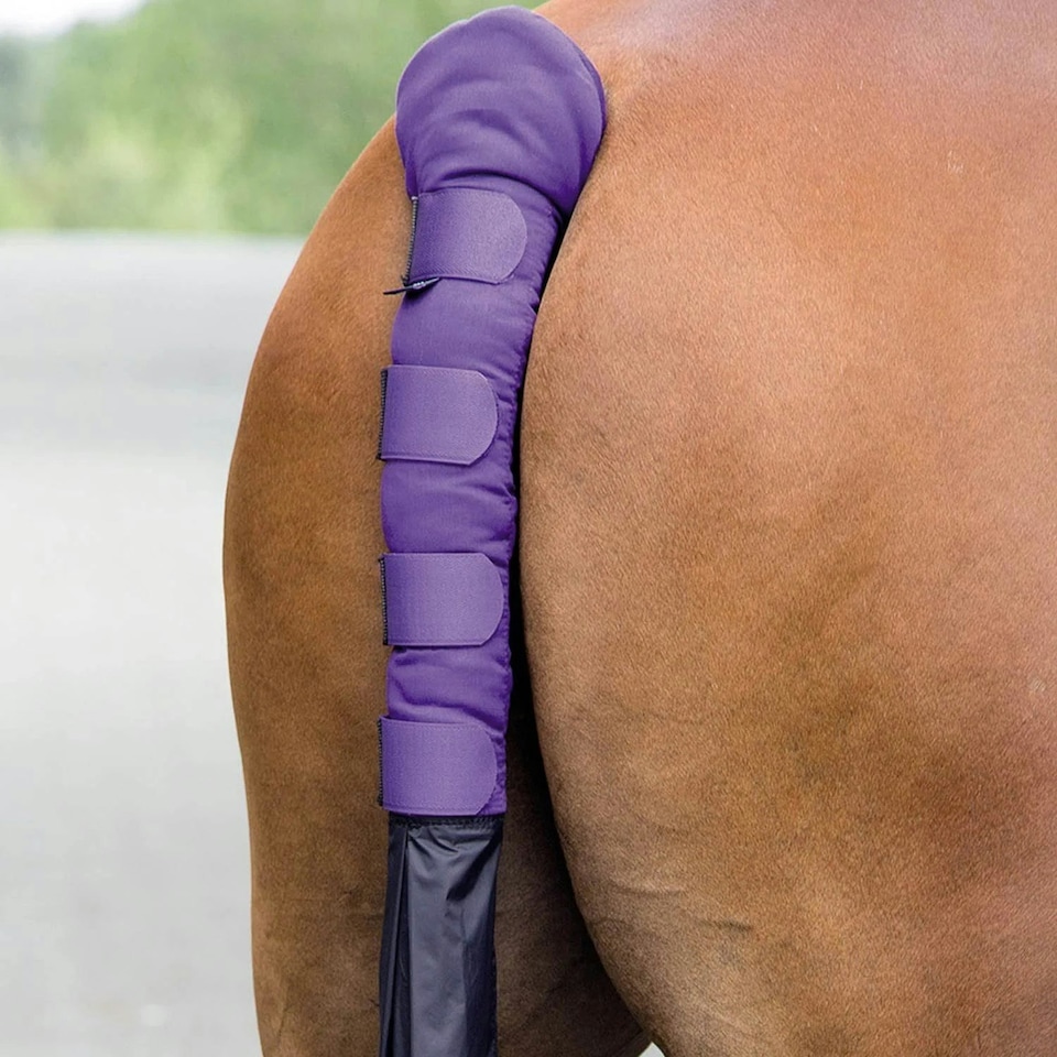 image 1 of ARMA Horse Tail Guard With Bag - Purple - One Size