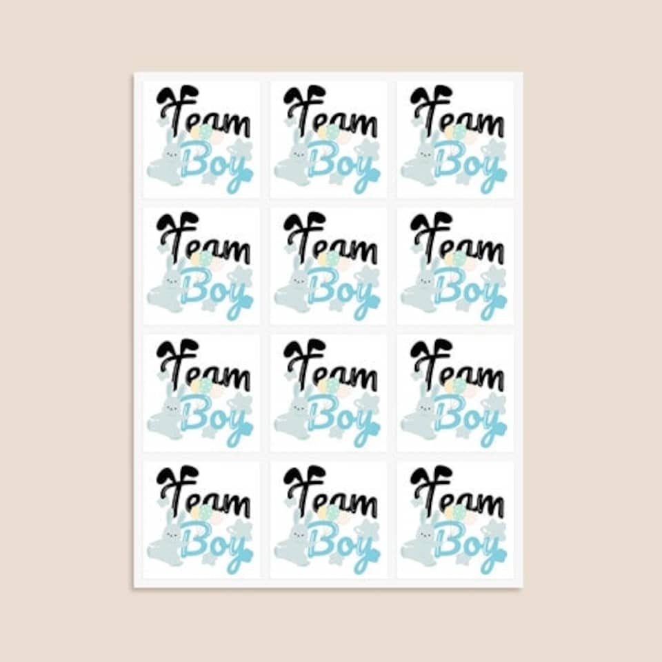 image 1 of Team Boy Bunny Gender Reveal Square Stickers 65mm - Sheet of 12