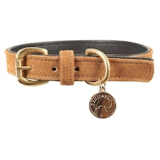 Benji & Flo Noble Suede Dog Collar - Tan/Gold - XS