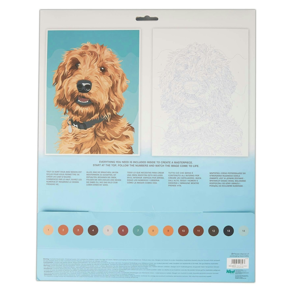 image 1 of Artiste Paint By Numbers, Playful Labradoodle, Single Pack