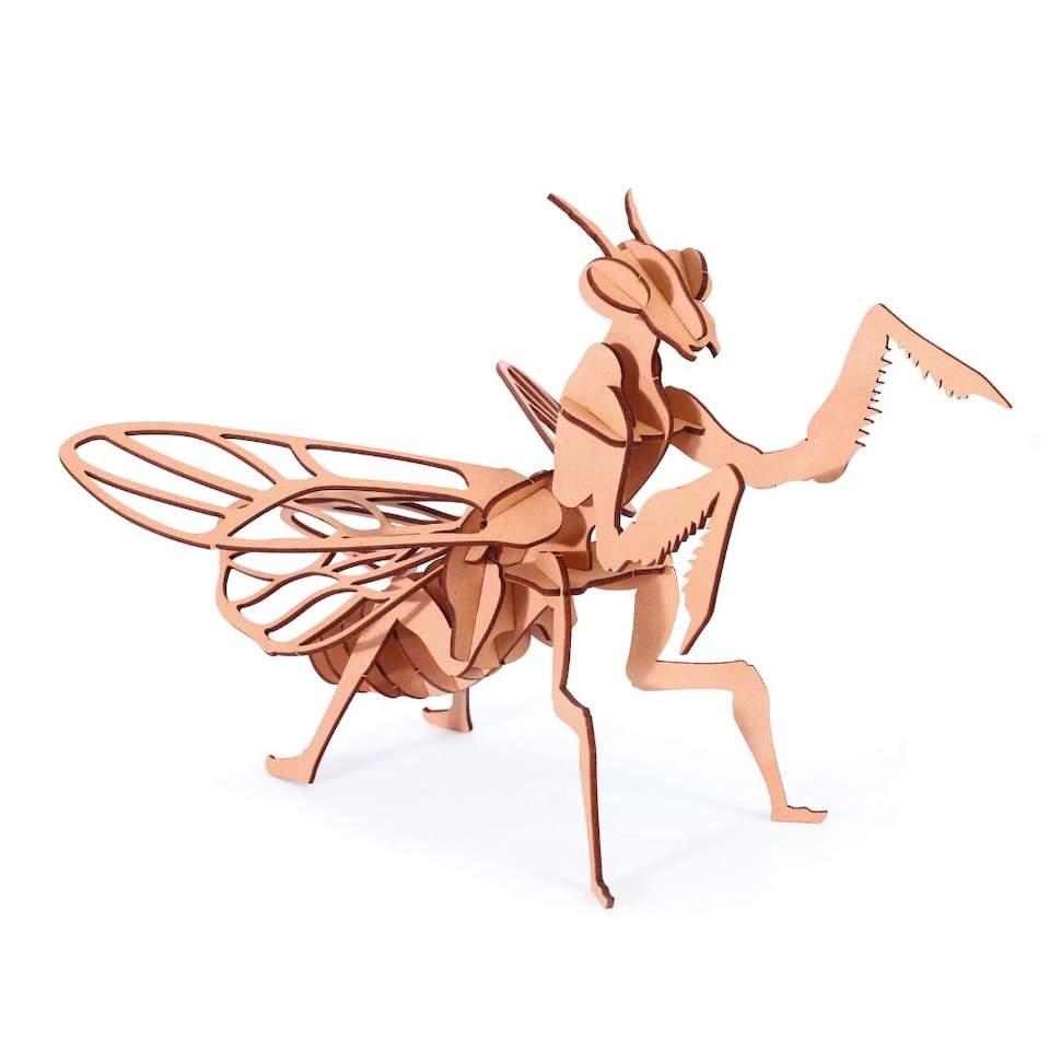 image 1 of 3D Wooden Model Kit Praying Mantis - Craft Gifts for 8 yrs +