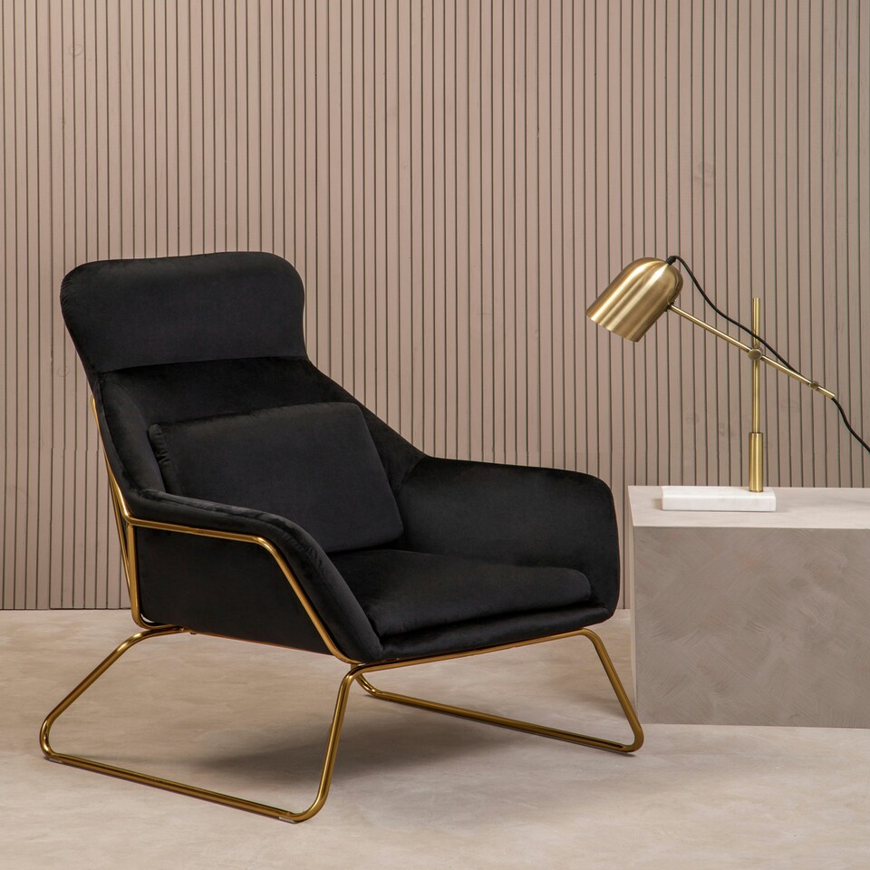 image 1 of Interiors by Premier Black Velvet Armchair, Easy Care Velvet Accent Armchair, Indoor Dining with Velvet Bedroom chair