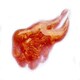 image 2 of Tangerine Dream Glis Gloss - Lip Gloss - Glisten Cosmetics Multi
