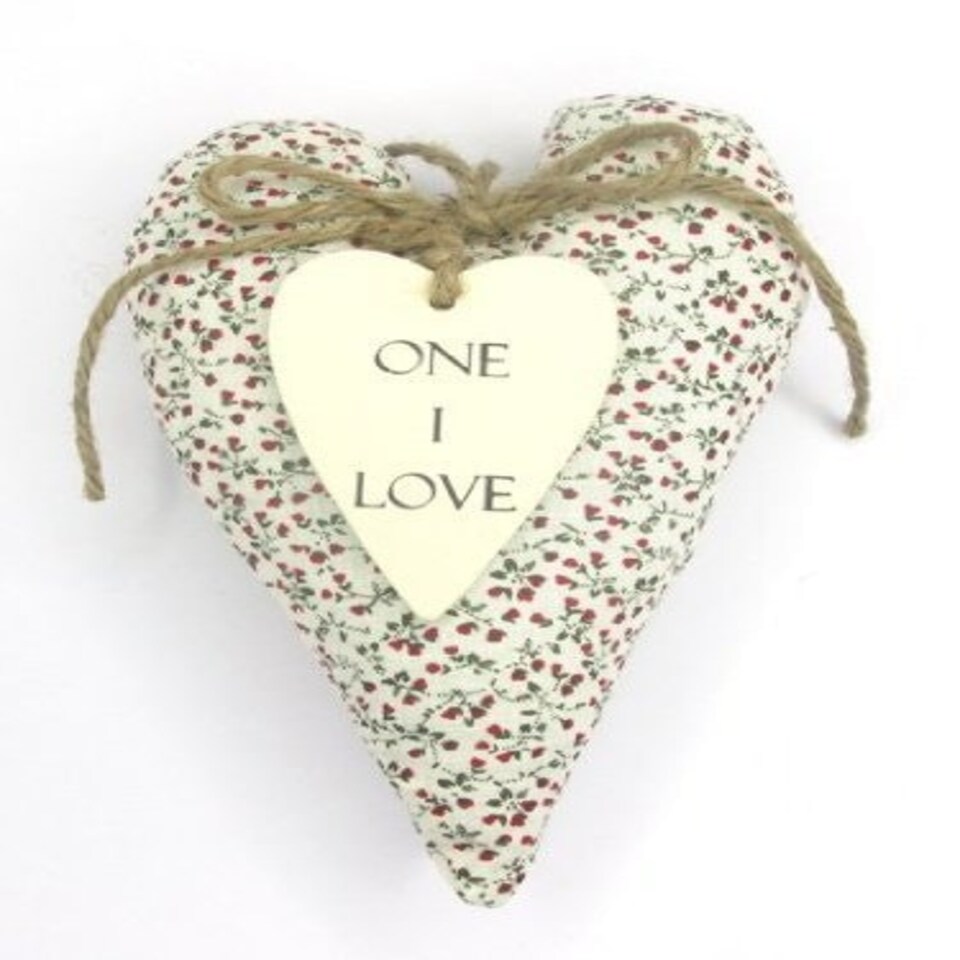 image 1 of Sentiments Hanging Heart Cushion One I Love