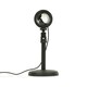 image 2 of ValueLights Moonlight Gifting Polished Black Illuminated Decoration and Integrated LED .17W Multicolour 5800K Bulb