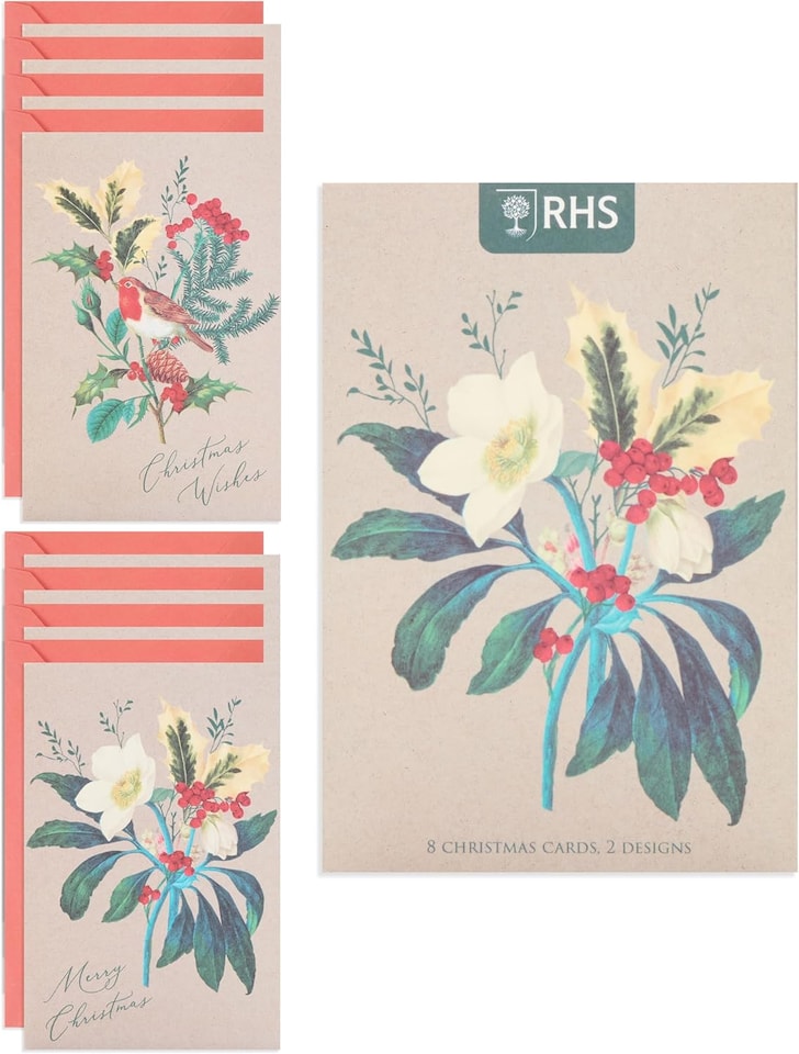 image 1 of Multipack of 8 RHS Rose & Robin Design Christmas Cards