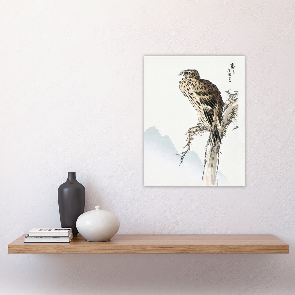 image 1 of Black Eared Kite Bird Japanese Japan Wall Art Print Numata Kashu 12x16"